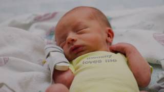 ** Luke&#39;s Birth Video** Bird Passengers - Brave The Dark