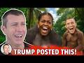 Trump S Obama Ape Meme Is Causing TOTAL MELTDOWN Of Dems And Loser Republicans