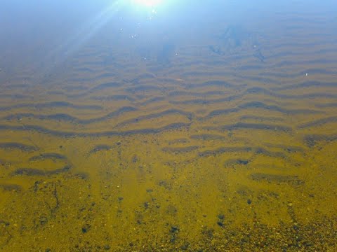 Näin se maanantai lähtee + aurinkoa