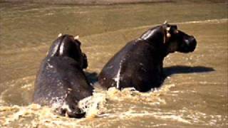 Moby - Stay (Stay To Love Mix by Dave Bay)