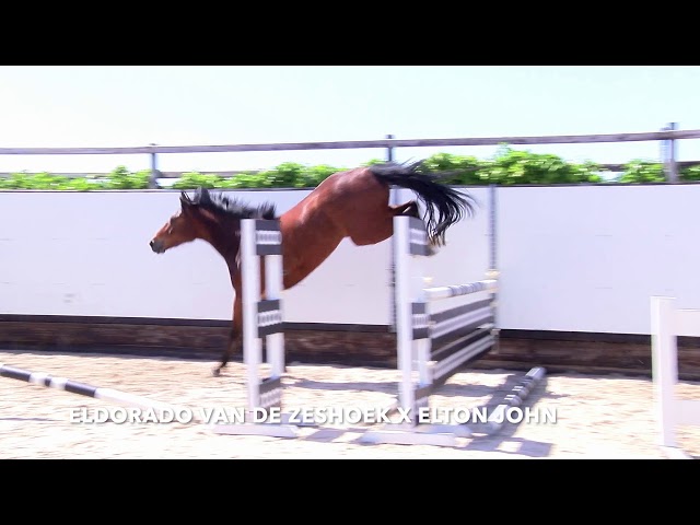 Jumping 
