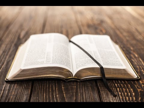 Biserica Sagu Live Stream  - Program Copii  - 24 12 2017 PM