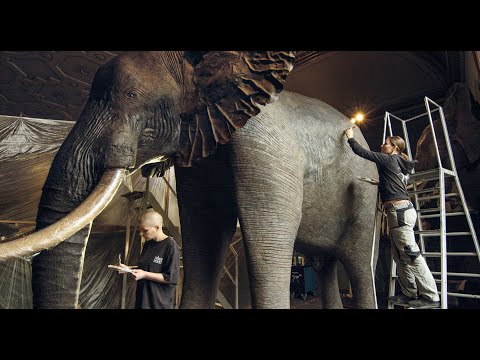 Trailer-Vorschau: Archiv der Zukunft