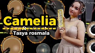 Download lagu CAMELIA ||TASYA ROSMALA - Real kendang mp3 Download lagu CAMELIA ||TASYA ROSMALA - Real kendang mp3