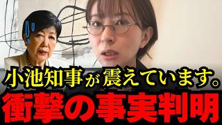 【さとうさおり】※小池都知事が恐怖で震えるその理由とは。【小池百合子　高市早苗】