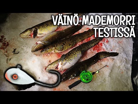 VÄINÖ MADEMORRI - MATEEN PILKINTÄ