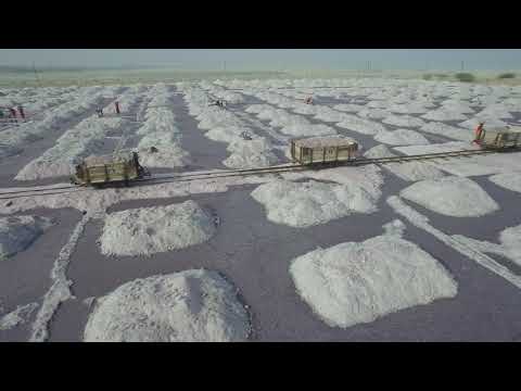 Loading of Raw Salt from Kyar to Train.