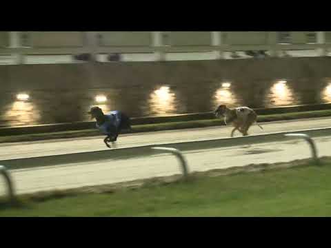 2023.09.29. 6. Futam - Kölyök Sprint