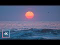 Relaxing Ocean Sounds and Sunrise at Hilton Head Island, Chill Ocean Waves