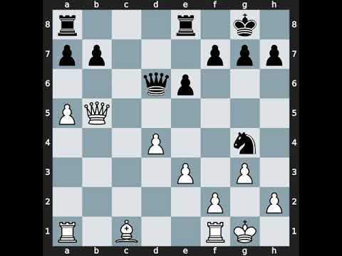 Leonid Voloshin(2411) vs Petr Haba(2504) | Event: Mayor's Cup of Good Wine | 2011.06.04