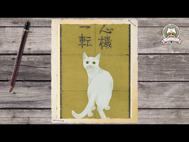 Vídeo relacionado con Vintage Japonés Paisaje Samurai Gato Kanji (Arte Back) Camiseta