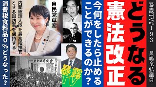 どうなる憲法改正/  自民党草案 /今何をしたら止めることができるのか？ / 消費税食料品０％どうなった？ /   暴露TV193・革命はテレビに映らない