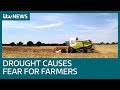 Farmers Warn Of Drought S Unprecedented Impact ITV News