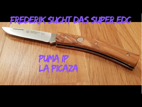 FSDSEDC #5 - Puma IP la picaza