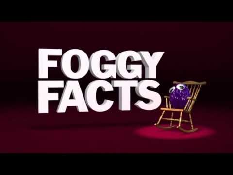 Foggy Facts with Old Man