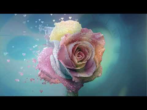 INXS - Not Enough Time - 1992 - with lyrics