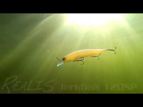 DUO REALIS JERKBAIT 120 SP