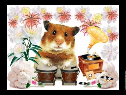 Happy Birthday, Olya