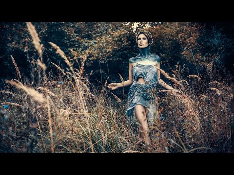 I Follow You - Tellow feat  Matt Sierra | Pop Music