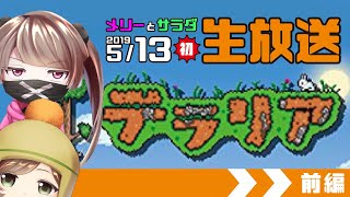 メリーとサラダの生配信【テラリア】前編