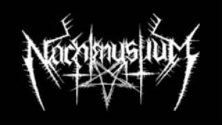 Life of Fire - Nachtmystium