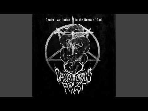 Video thumbnail for Impaled on Flesh, Impaled on Steel