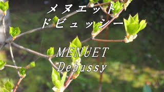 Download lagu 'Menuet' Debussy メヌエット ドビュッシー mp3