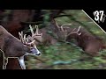 CRAZY BIG BUCK FIGHT Realistic Deer Calling Bowhunting Iowa Bucks