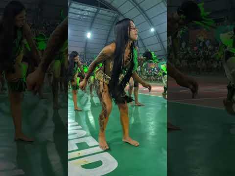 Guardiã Tribal Indígena dos Povos do Alto Rio Negro/AM #cultura #indigena #nature