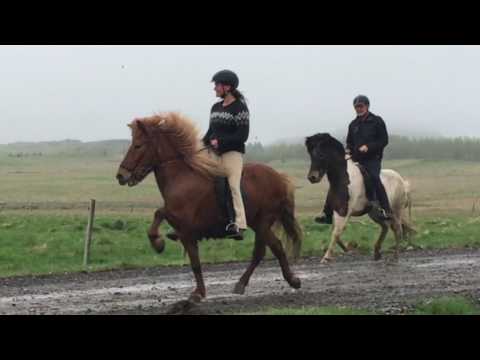 Freisting frá Holtsenda 2 and Eldur frá Bjarnanesi