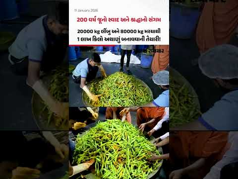 Vadtal ધામમાં 200 વર્ષ જૂની પરંપરા! 20000 kg લીંબુ અને 80000 kg મરચાથી 1 લાખ કિલો અથાણું બનશે