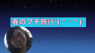 春🌸誕生日お祝い.2023/03/25