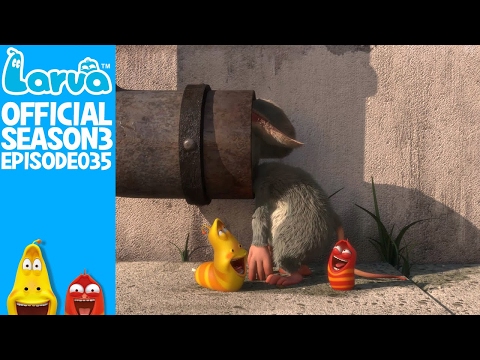 [Official] Pipe - Larva Season 3 Episode 35