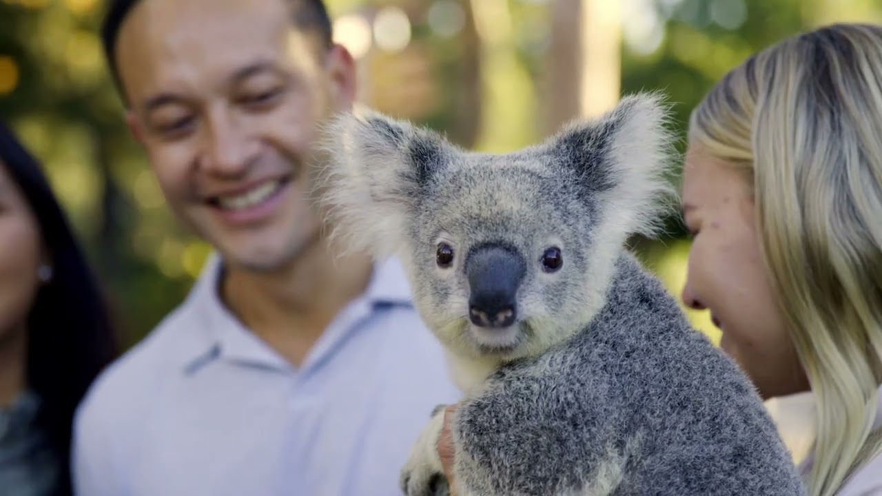 Experience the highlights of Paradise Country.