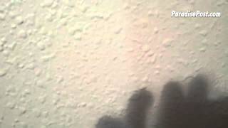 VIDEO: test