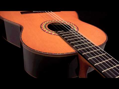 Classical Guitar Manuel Rodriguez Manuel JR Hand Made! Concert Instrument. image 7