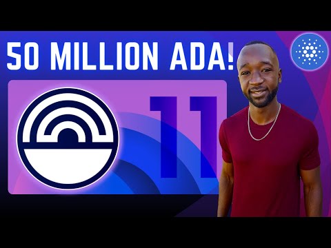 Cardano Catalyst Awards 50 MILLION ADA - Top Winners & Losers!