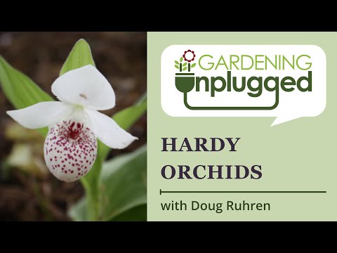 Gardening Unplugged - Hardy Orchids with Doug Ruhren