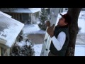 LawnSavers Christmas LIghts
