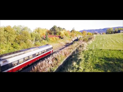 Høst på Ranheim Grilstad Marina Trondheim UHD/4K