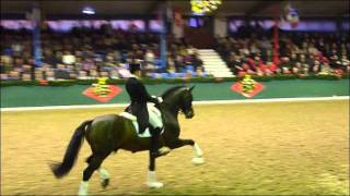 preview picture of video 'www.reitschule-sandbrink.de Damsey Stallion Show Vechta 2012'