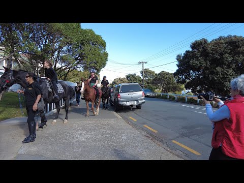 (4K) Anzac Day 2023 - Island Bay | Our community parade w/ HORSES!
