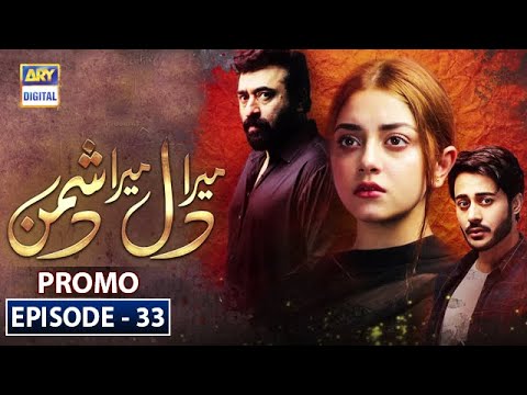Mera Dil Mera Dushman Episode 33 | Promo | ARY Digital Drama