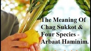 הרב יצחק לסרי - Sukkot -The Meaning of Sukkot and Four Species