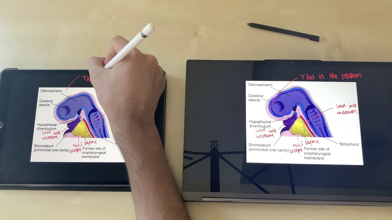 Lenovo Yoga C940 vs iPad Pro Note-taking - Windows 10 vs iPadOS