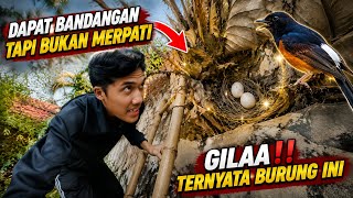 Download lagu I ACTUALLY CAUGHT THIS BIRD??😳‼️ mp3