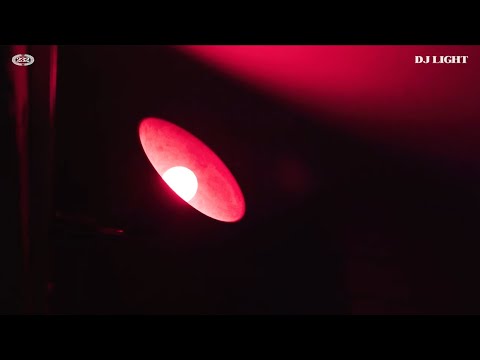 [SPIN&STIR EP.07] DJ LIGHT의 소프트한 바이닐 플레이리스트