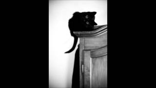 buddy guy- Black cat blues