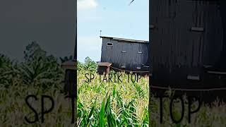Download lagu dapat video dari subscribe..alhmdllah sp super magnum makin hari makin joss responnya.sukses trus.. mp3 Download lagu dapat video dari subscribe..alhmdllah sp super magnum makin hari makin joss responnya.sukses trus.. mp3