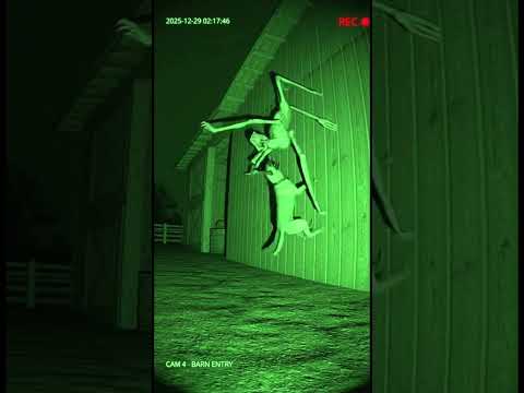 CCTV Captures Dog Charging and Attacking Intruder #ScaryShorts #NightVision #CaughtOnCamera